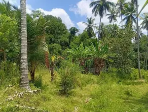 Land for Sale Narammala