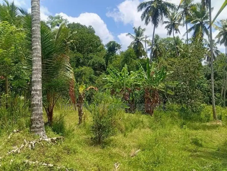 Land for Sale Narammala