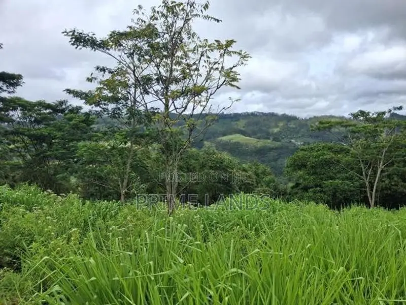 Land for Sale Pussellawa