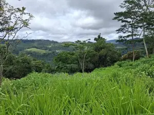 Land for Sale Pussellawa
