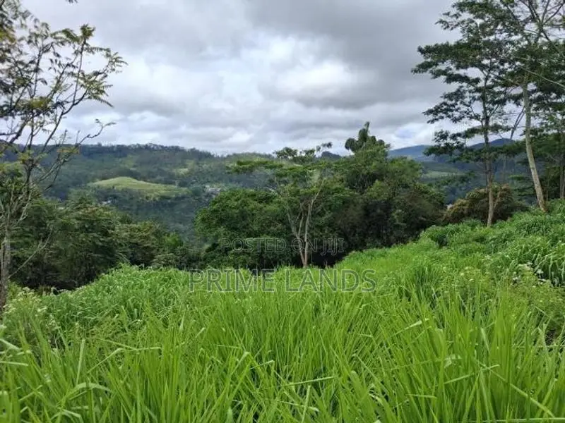 Land for Sale Pussellawa