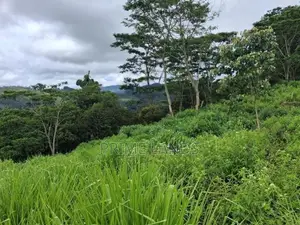 Land for Sale Pussellawa