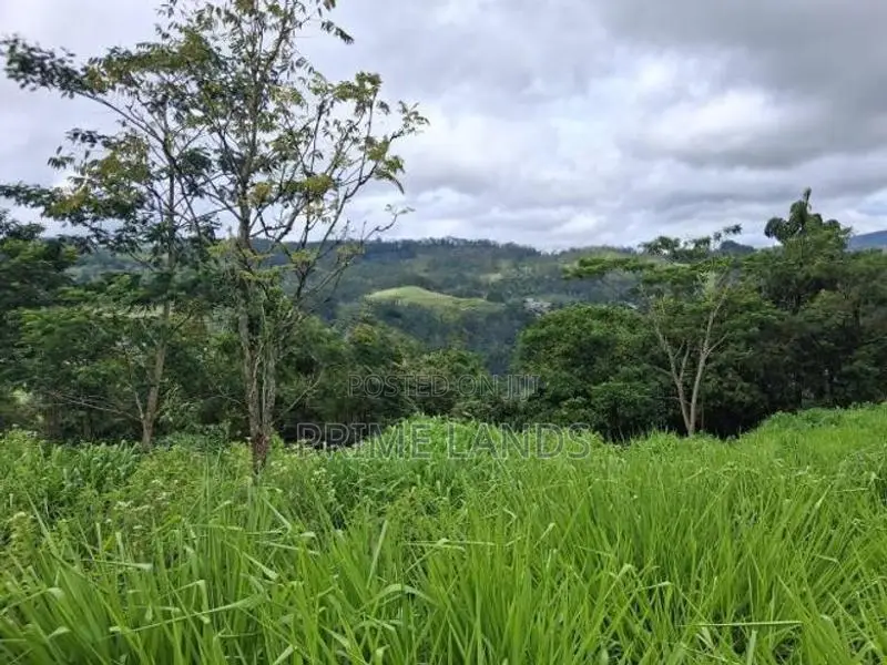 Land for Sale Pussellawa