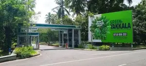 Green Hide