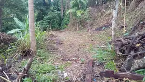 Land for Sale – Wattegama, Kandy Road
