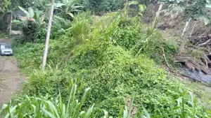 Land for Sale – Wattegama, Kandy Road