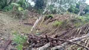 Land for Sale – Wattegama, Kandy Road