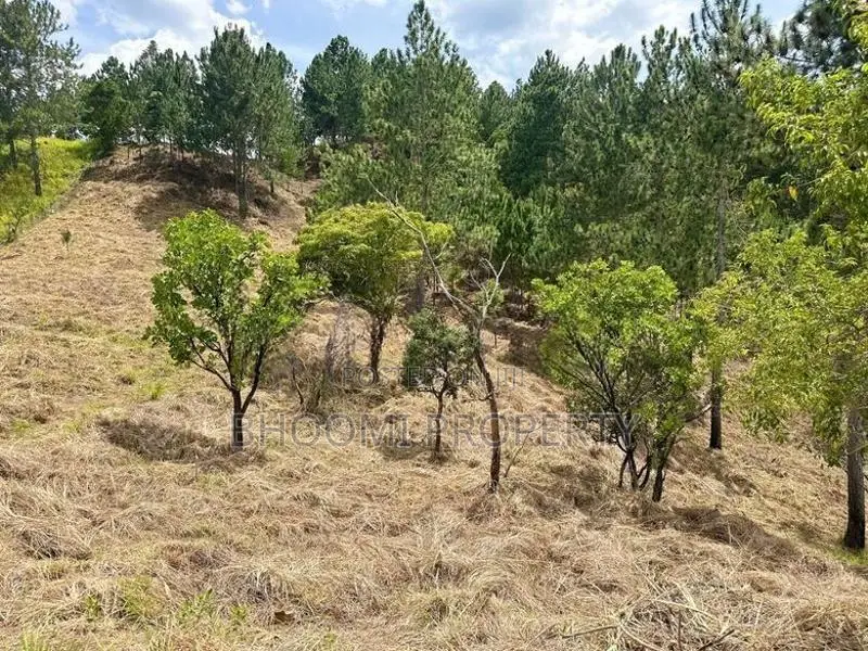 Land for sale in Ella