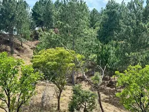 Land for sale in Ella