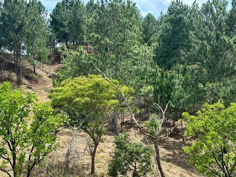 Land for sale in Ella