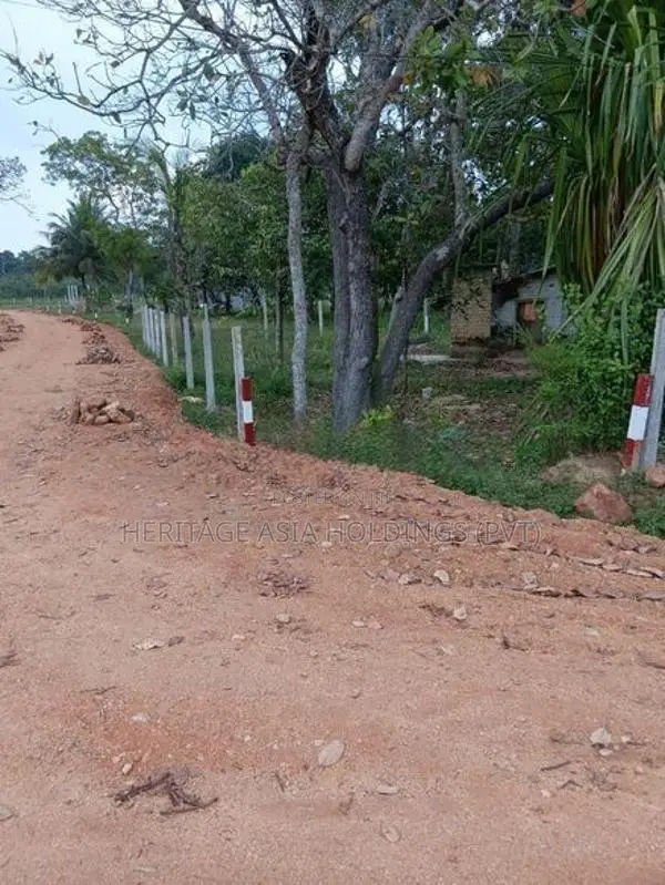 වටිනා ඉඩමක් ඔබත් ගන්න අනුරාධපුර