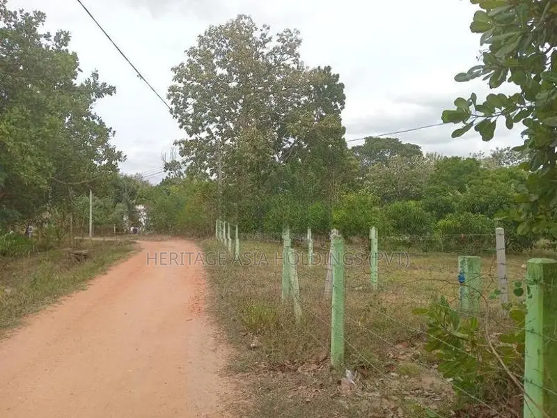 අනුරාධපුරින් සින්නක්කර ඉඩමක් විකිනිමට