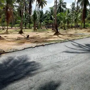 වේයන්ගොඩ , නයිවල සුපිරි" බිම්කොටස්