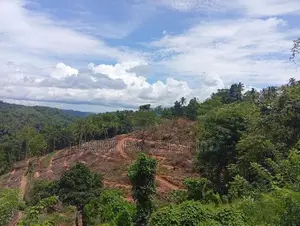 Beautiful land in uthuwankanda