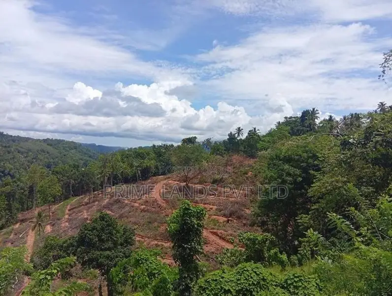 Beautiful land in uthuwankanda