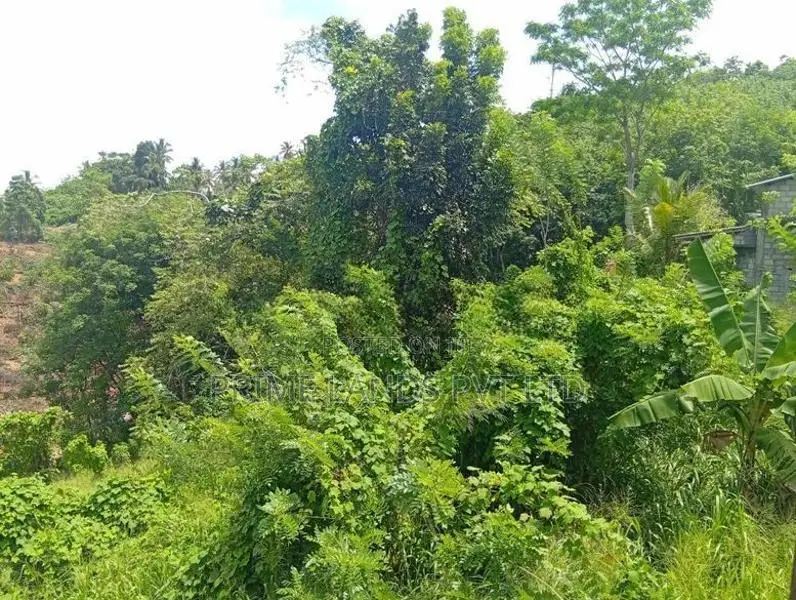 Beautiful land in uthuwankanda