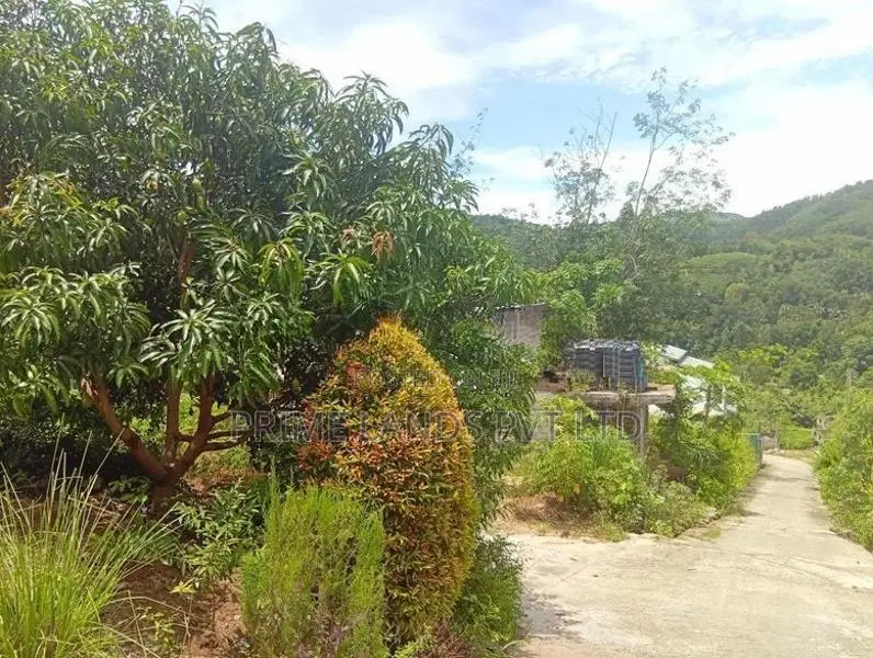 Beautiful land in uthuwankanda