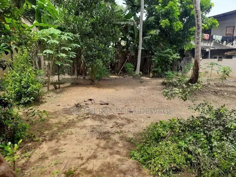 Land For Sale Peliyagoda