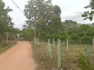 සින්නක්කර ඉඩමක් ඔබේම කරගන්න අනුරාධපුර