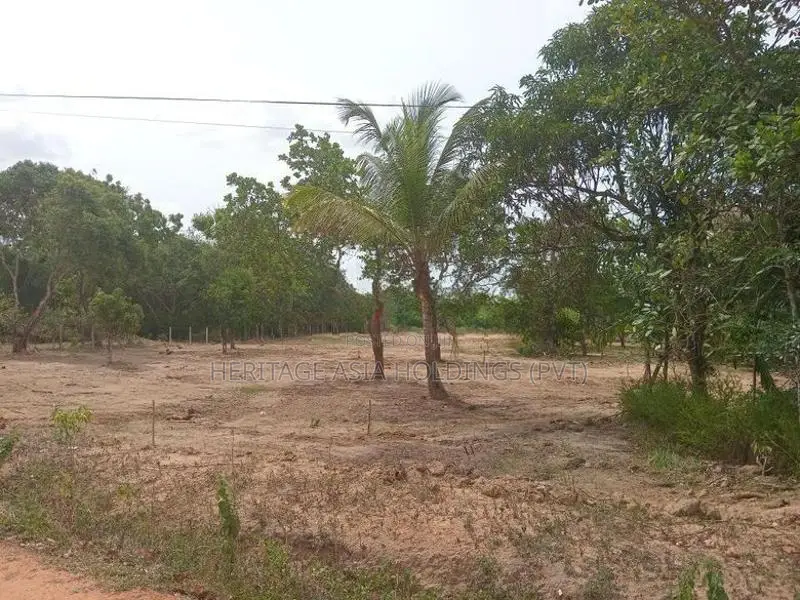Land for sale in Anuradapura