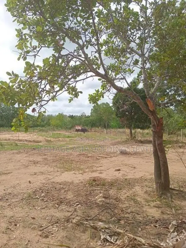 Land for sale in Anuradapura