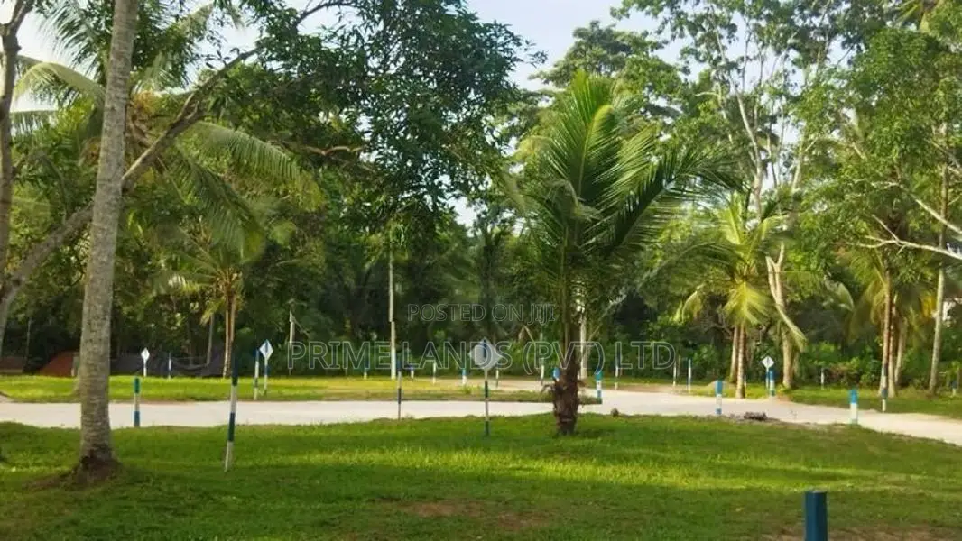 මිනුවන්ගොඩ දෙවොලපල බිම් කොටස්