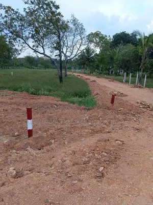 අනුරාධපුර පුජා නගරය පෙනෙන මානයෙන් ඉඩමක් විකිනිමට