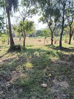 අනුරාධපුර පුජා නගරය පෙනෙන මානයෙන් ඉඩමක් විකිනිමට