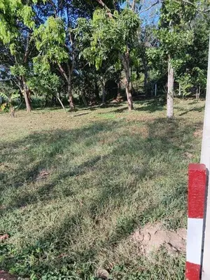 අනුරාධපුර පුජා නගරය පෙනෙන මානයෙන් ඉඩමක් විකිනිමට