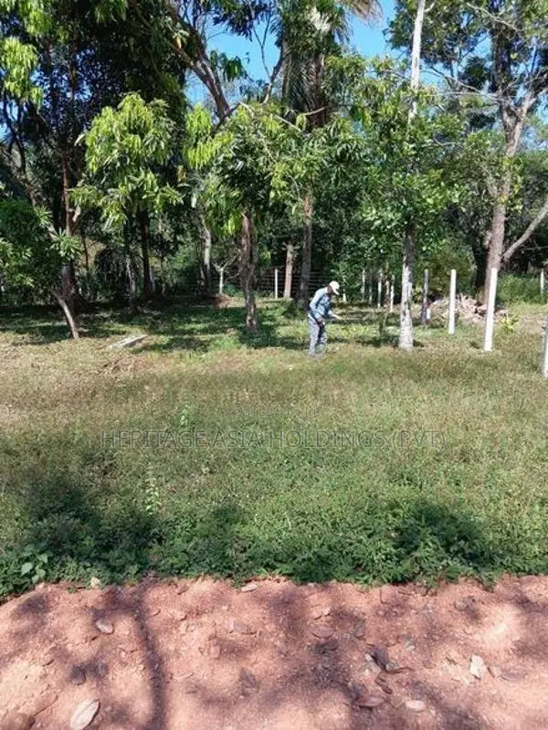 අනුරාධපුර පුජා නගරය පෙනෙන මානයෙන් ඉඩමක් විකිනිමට
