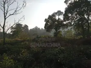 Land for Sale Bandarawela