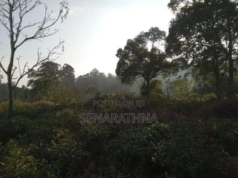 Land for Sale Bandarawela