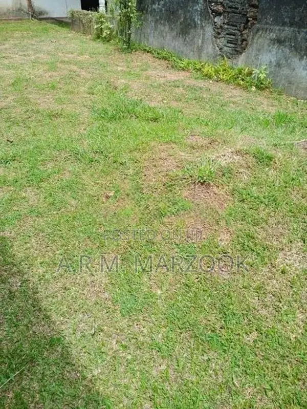 RATHMALANA OFF BORUPONA 20.5 P OF SQUARE BARE LAND FOR SALE