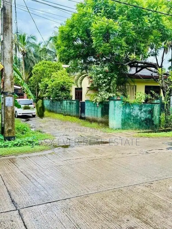 වත්තල - උස්වැටකෙයියාවෙන් පදිංචියට හෝ ආයෝජනයටත් නිවසක් සහ ඉඩමක්