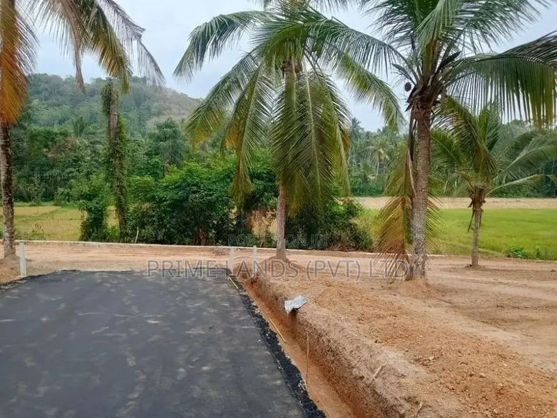 කඩවත , වෑබඩ අසපුව පාරෙන් බිම් කොටස්