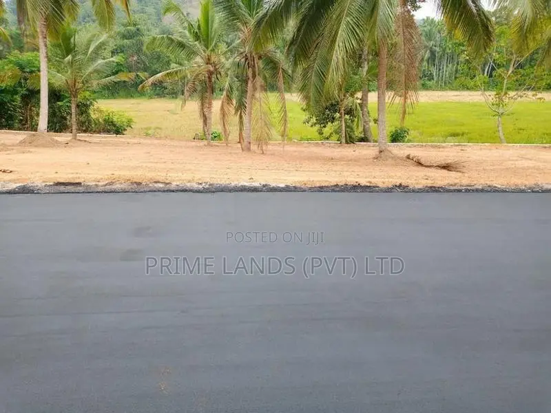 කඩවත , වෑබඩ අසපුව පාරෙන් බිම් කොටස්