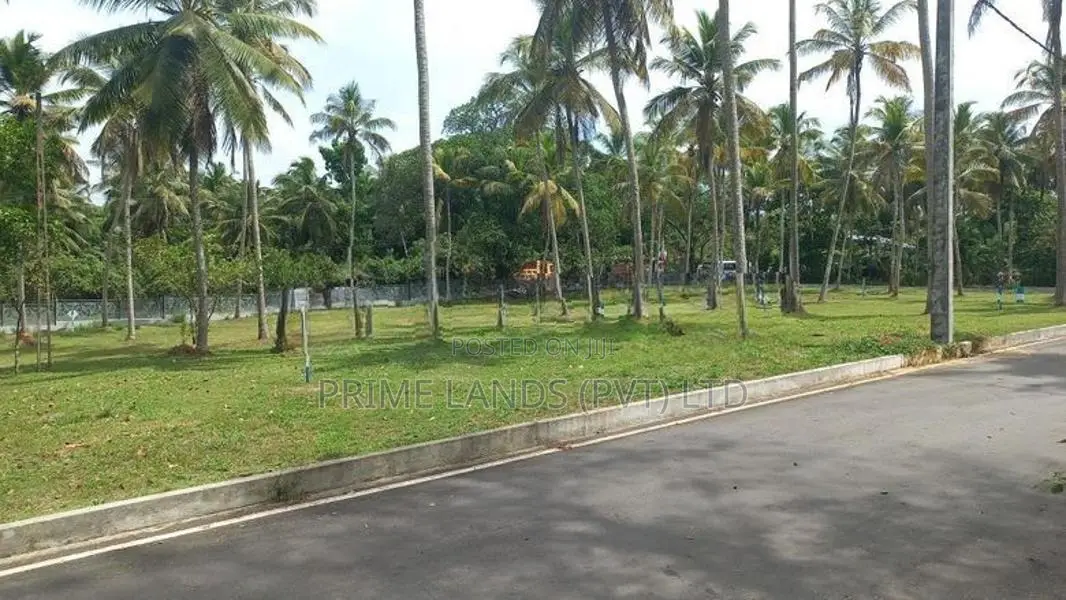 වේයන්ගොඩ කුබල්ඔලුව බස් පාරෙන් බිම් කොටස්