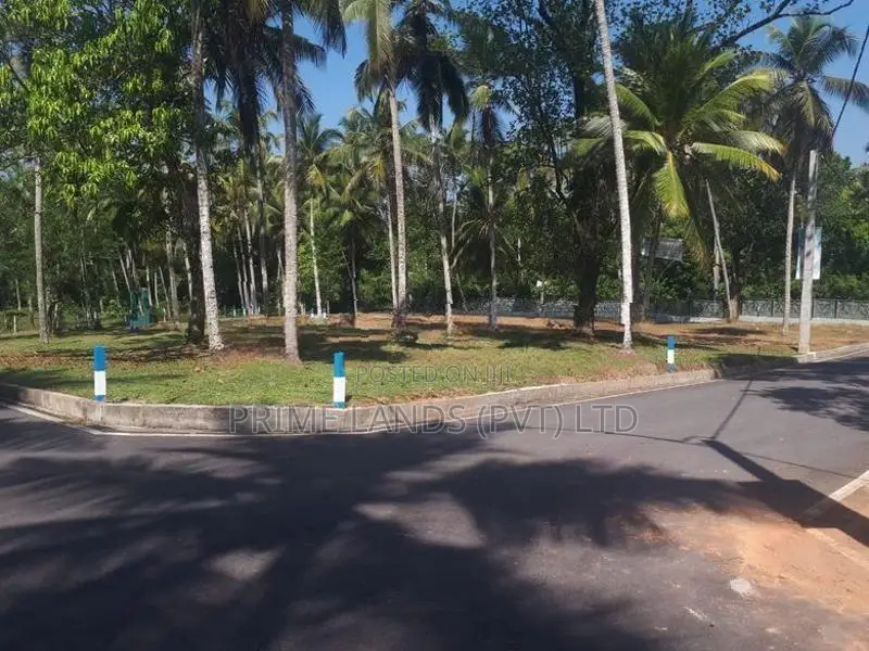 වේයන්ගොඩ කුබල්ඔලුව බස් පාරෙන් බිම් කොටස්
