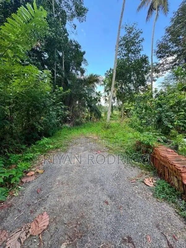 Homagama Moragahahena Road 22.5 Perches of Land for Sale