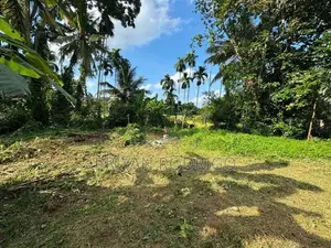 Homagama Moragahahena Road 22.5 Perches of Land for Sale