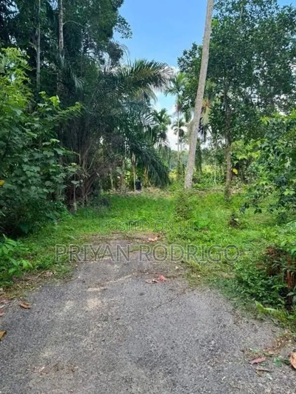 Homagama Moragahahena Road 22.5 Perches of Land for Sale