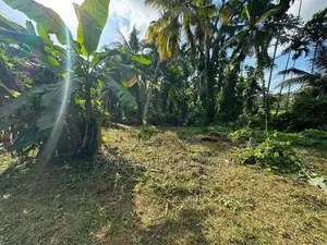 Homagama Moragahahena Road 22.5 Perches of Land for Sale