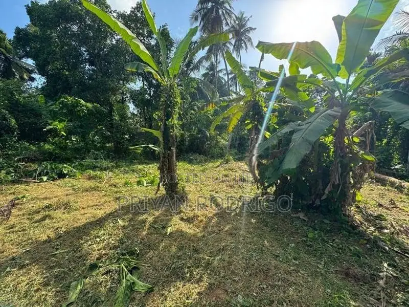 Homagama Moragahahena Road 22.5 Perches of Land for Sale