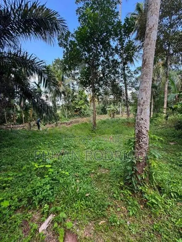 Homagama Moragahahena Road 22.5 Perches of Land for Sale