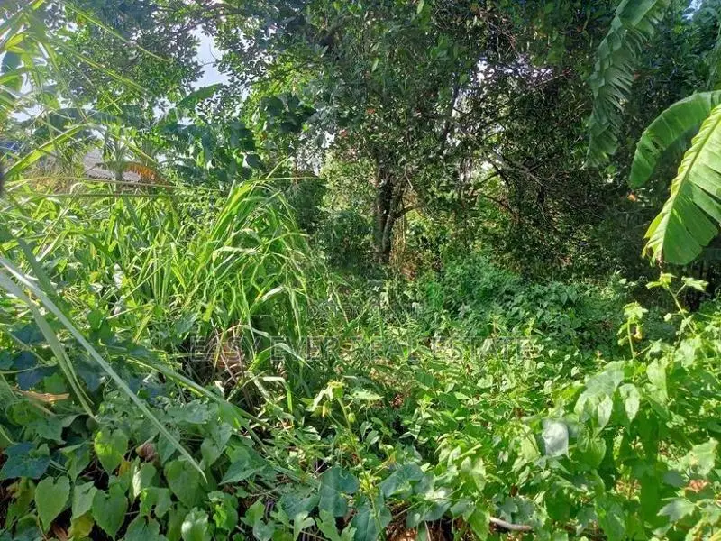 බෙලිඅත්ත නගරයෙන් ප්‍රධාන පාර පේන දුරින් වටිනා ඉඩමක්