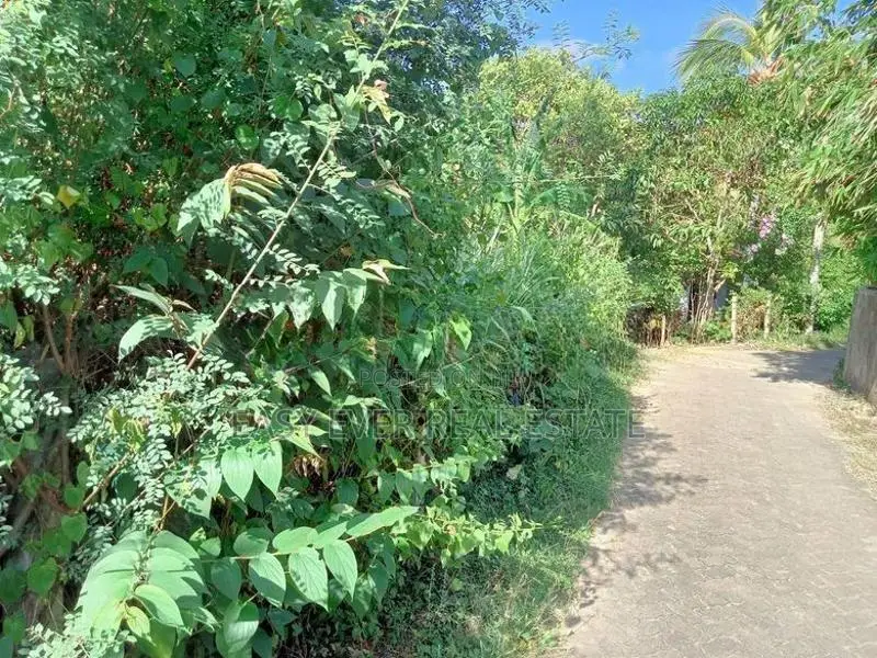 බෙලිඅත්ත නගරයෙන් ප්‍රධාන පාර පේන දුරින් වටිනා ඉඩමක්