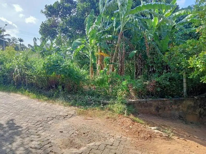 බෙලිඅත්ත නගරයෙන් ප්‍රධාන පාර පේන දුරින් වටිනා ඉඩමක්