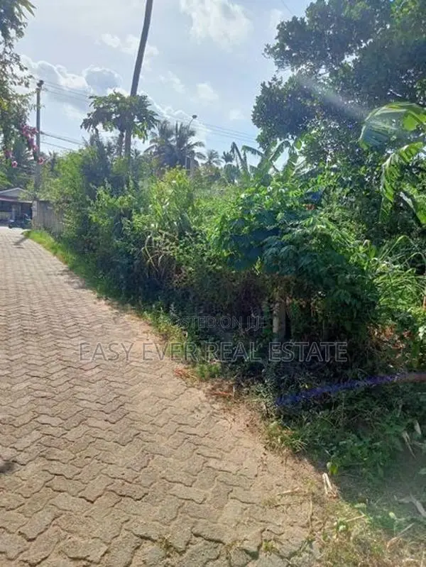 බෙලිඅත්ත නගරයෙන් ප්‍රධාන පාර පේන දුරින් වටිනා ඉඩමක්