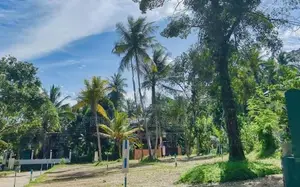 නුවර පාරට ළඟින් - කිරිල්ලවලින් බිම් කොටස්
