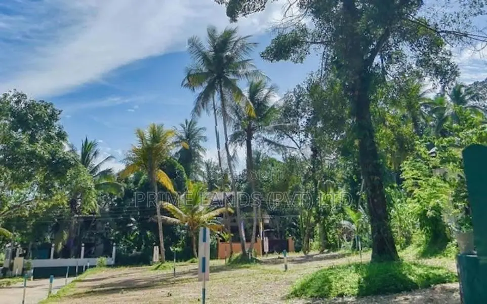 නුවර පාරට ළඟින් - කිරිල්ලවලින් බිම් කොටස්
